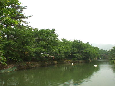 02/6/6 隬
