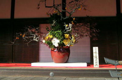 04/11/05 OԂQ