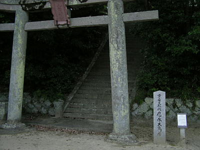 i咹