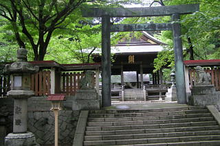 莛