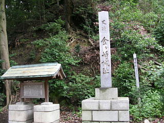 隬