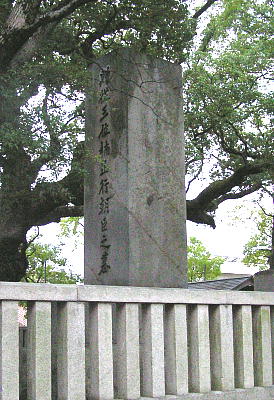 揊