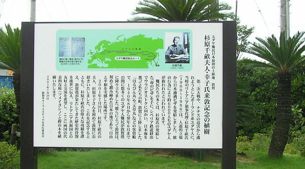 琤LOA