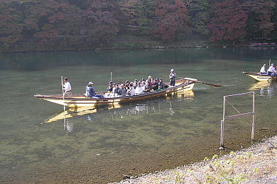 剁