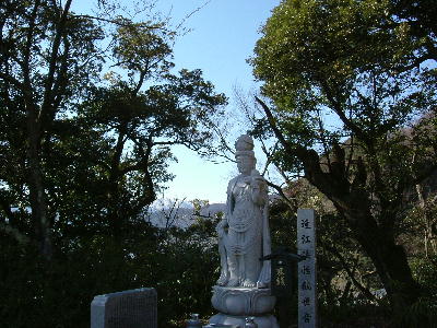 莛
