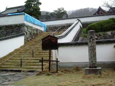 v뉀