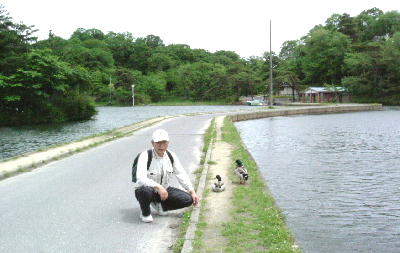 ǒr
