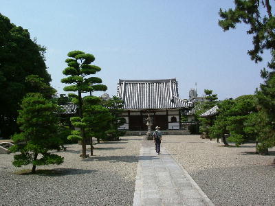 쒆